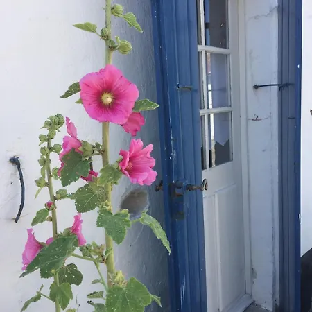 Maison 3 8 Couchages A Pied! Feriehus